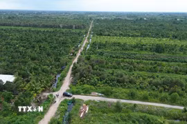 Dự án Khu công nghiệp Tân Phước 1 có quy mô sử dụng đất 470ha, tổng vốn đầu tư hơn 5.936 tỷ đồng. (Ảnh: Công Trí/TTXVN)
