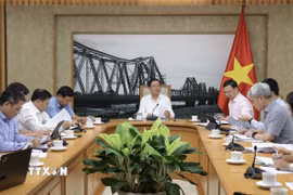 Phó Thủ tướng Hồ Quốc Dũng họp về đơn giản hóa thủ tục xuất khẩu sầu riêng. (Ảnh: TTXVN)