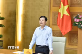 Phó Thủ tướng Mai Văn Chính phát biểu tại cuộc họp. (Ảnh: Diệp Trương/TTXVN)