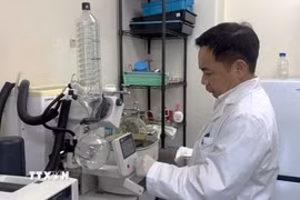 Giáo sư Trần Đăng Xuân làm việc trong phòng nghiên cứu. (Ảnh: Bùi Hà/TTXVN)