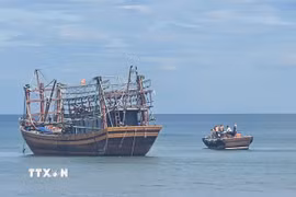 Lực lượng chức năng đã huy động tàu cá của ngư dân trên địa bàn tiếp cận, kéo tàu QB 92267 TS ra khỏi khu vực mắc cạn và đưa vào Khu neo đậu Cửa Tùng an toàn vào khoảng 15 giờ ngày 22/8. (Ảnh: TTXVN phát)