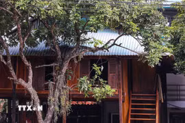 Những ngôi nhà sàn ở bản Pom Coọng thường được làm bằng tre hoặc bương và cách mặt đất khoảng 2m bằng những cột gỗ chắc chắn, xây thành từng cụm và theo lối kiểu kiến trúc truyền thống. (Ảnh: Trọng Đạt/TTXVN)
