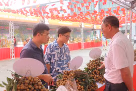 Người dân, du khách tham quan, mua sắm nhãn tại phiên chợ. (Ảnh: Mạnh Khánh/TTXVN)