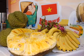 Mít, sầu riêng, chuối là một trong những loại trái cây của Việt Nam được người dân Trung Quốc ưa thích. (Ảnh: Quang Hưng/TTXVN)