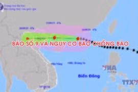 Thông tin mới về bão số 9 và nguy cơ bão chồng bão