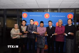 Các đại sứ ASEAN tại Nam Phi thể hiện tinh thần đoàn kết. (Ảnh: Đặng Huyền/TTXVN)