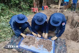 Đội K93 tỉnh An Giang quy tập hài cốt liệt sỹ tại xã Ô Lâm, tỉnh An Giang. (Ảnh: TTXVN phát)