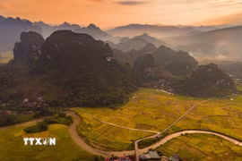 Sắc vàng của lúa chín phủ rộng trên những cánh đồng nằm giữa các dãy núi, tạo nên vẻ đẹp đặc trưng của thung lũng Chiềng Sinh. (Ảnh: Xuân Tư/TTXVN)