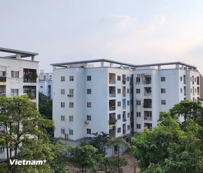 Ảnh minh họa. (Nguồn: Vietnam+)