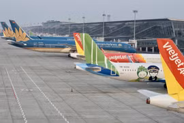 Máy bay của các hãng hàng không Việt Nam tại Sân bay Quốc tế Nội Bài. (Ảnh: PV/Vietnam+)