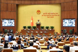 Quang cảnh phiên thảo luận tại hội trường về Dự án Luật Phát triển đô thị vào sáng 11/8. (Ảnh: Doãn Tấn/TTXVN)