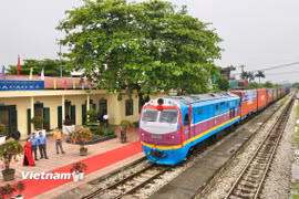 Một đoàn tàu chở hàng liên vận kết nối sang Trung Quốc. (Ảnh: Việt Hùng/Vietnam+)