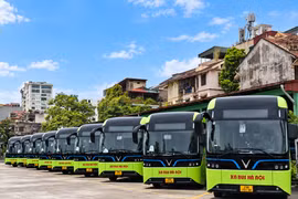 Tổng công ty Vận tải Hà Nội đã đưa vào khai thác 15 xe buýt điện tuyến buýt số 31 (Bách Khoa-Chèm, Đại học Mỏ). (Ảnh: PV/Vietnam+)