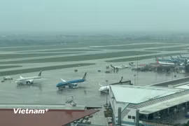 Máy bay của các hãng hàng không tại Sân bay quốc tế Nội Bài. (Ảnh: PV/Vietnam+)