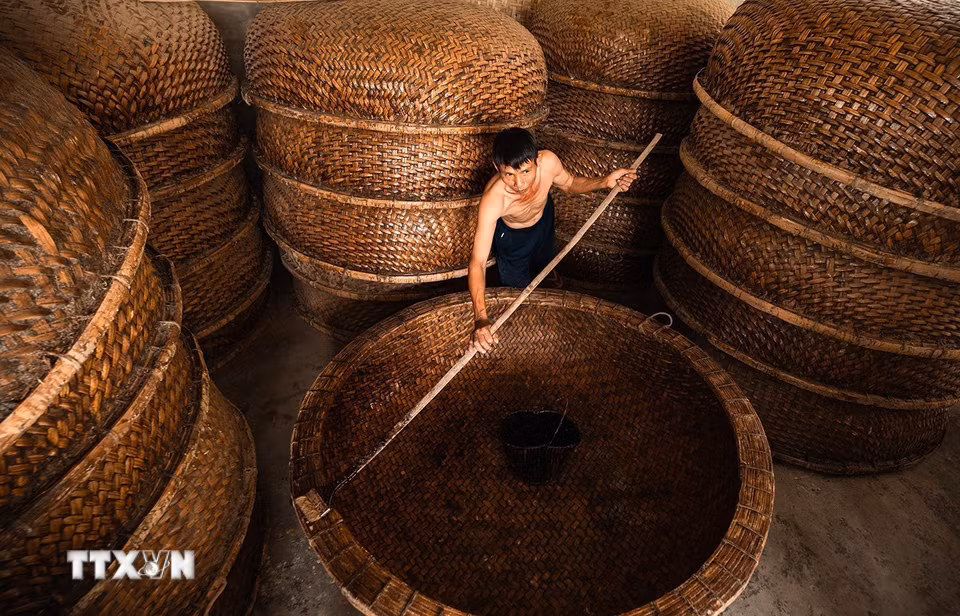 Kỹ thuật chống thấm bằng phân bò và nhựa dầu rái được truyền lại từ đời cha ông, giúp thúng có màu đẹp chống mối mọt. Lớp chống thấm đặc biệt này có thể dùng trong môi trường nước biển 4-5 năm. Thúng bị rách có thể được đem về vá lại. (Ảnh: Khánh Hòa/TTXVN)