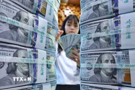 Nhân viên kiểm đếm đồng USD. (Ảnh: Yonhap/TTXVN)