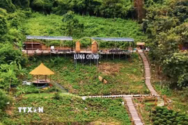 Chủ tiệm cà phê Lưng Chừng (xã Tri Tôn, An Giang) tự ý chuyển đất rừng phòng hộ sang đất phi nông nghiệp bị xử phạt vi phạm hành chính. (Ảnh: TTXVN phát)