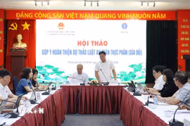Ông Đỗ Xuân Tuyên, Thứ trưởng Bộ Y tế phát biểu tại Hội thảo. (Ảnh: Đinh Hằng/TTXVN)