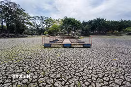 Hiện tượng El Nino gây hạn hán nghiêm trọng tại Costa Rica. (Ảnh: AFP/TTXVN)