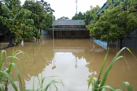 Mưa lớn gây ngập úng cục bộ nhiều nơi trên địa bàn tỉnh Tuyên Quang. (Ảnh: Quang Cường/TTXVN)