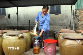 Đặc sản tương nếp Úc Kỳ đã được xuất bán đi nhiều tỉnh, thành trên cả nước. (Ảnh: Quân Trang/TTXVN)