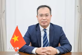 Đại sứ Việt Nam tại Kyrgyzstan, thường trú tại Kazakhstan Nguyễn Thành Lê. (Ảnh: TTXVN phát)