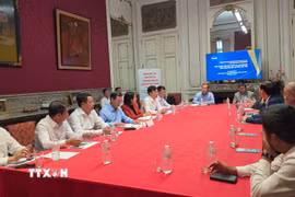Toàn cảnh buổi làm việc giữa đoàn công tác tỉnh Phú Thọ và Hội Trí thức và chuyên gia Việt Nam tại Bỉ và Luxembourg (ViLaB), ngày 28/8 tại Brussels. (Ảnh: PV TTXVN tại Vương quốc Bỉ)