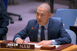 Công sứ Nguyễn Hoàng Nguyên, Phó Trưởng Phái đoàn thường trực Việt Nam tại Liên hợp quốc, phát biểu tại phiên thảo luận. (Ảnh: Thanh Tuấn/TTXVN)