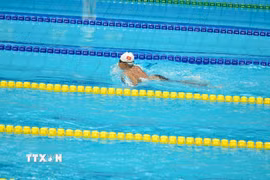 (Ảnh minh họa. TTXVN phát)