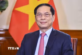 Bộ trưởng Ngoại giao Bùi Thanh Sơn. (Ảnh: TTXVN phát)