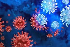 Virus SARS-CoV-2. (Ảnh: Getty Images)