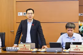Đại biểu Quốc hội TP Hà Nội Đỗ Đức Hồng Hà phát biểu. (Ảnh: Doãn Tấn/TTXVN)