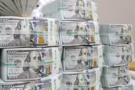 Kiểm đồng USD. (Ảnh: TTXVN)