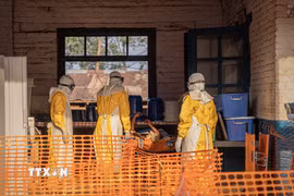Nhân viên y tế chuyển bệnh nhân Ebola tại trung tâm điều trị ở Ituri, Cộng hòa Dân chủ Congo. (Ảnh: THX/TTXVN phát)
