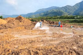 Thực hiện xử lý đất nhiễm chất độc dioxin tại sân bay A So bằng phương pháp sinh học. (Ảnh: TTXVN phát)