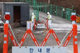(Ảnh minh họa. Nguồn: Yonhap)