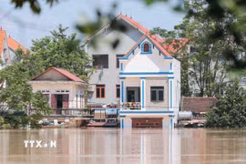 Nước sông Cầu dâng cao, gây ngập lụt nhiều hộ ven sông