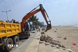 Rác, cành cây, gốc cây được thu gom thành từng đống, sau đó các xe chuyên dụng vận chuyển đi xử lý. (Ảnh: Hoa Mai/TTXVN)
