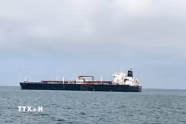 Tàu di chuyển qua eo biển Hormuz. (Ảnh: ANI/TTXVN)