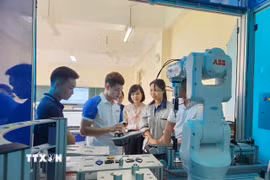 (Ảnh minh họa. Diệu Thúy/TTXVN)