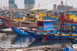 Đà Nẵng chuyển biến từ cơ sở trong nỗ lực gỡ thẻ vàng IUU