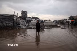 Khu lều tạm cho người tị nạn Palestine tại thành phố Gaza bị ngập nước do mưa lớn năm 2025. (Ảnh: THX/TTXVN)