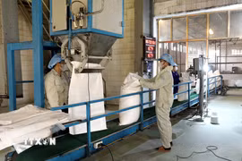 Dây chuyền sản xuất tại Công ty cổ phần Mía đường Sơn Dương (Tuyên Quang). (Ảnh: Quang Cường/TTXVN)