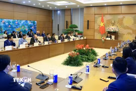 Phó Chủ tịch Quốc hội Nguyễn Hồng Diên tiếp đoàn Hội đồng Năng lượng Gió Toàn cầu. (Ảnh: Tuấn Anh/TTXVN)