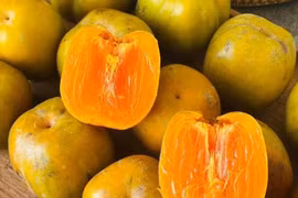 Quả hồng da tre.
