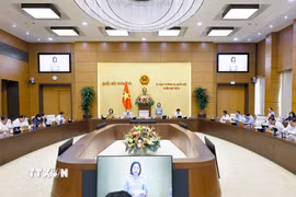 Phó Chủ tịch Quốc hội Nguyễn Thị Thanh phát biểu. (Ảnh: Doãn Tấn/TTXVN)