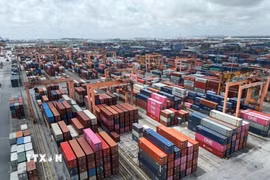 Kho bãi chứa container tại cảng Tân Vũ (Hải Phòng). (Ảnh: Tuấn Anh/TTXVN)