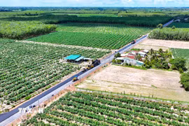 (Ảnh minh họa. Minh Phú/TTXVN)