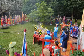 Nghi thức dựng nêu ở khu vực sân Hiển Lâm Các, Đại Nội Huế. (Ảnh: Nguyên Lý/TTXVN)