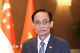 Đồng chí Lê Hoài Trung, Ủy viên Bộ Chính trị, Bí thư Đảng ủy, Bộ trưởng Bộ Ngoại giao trả lời phỏng vấn báo chí. (Ảnh: Phương Hoa/TTXVN)